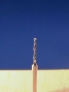 Diamantierte-Bohrer