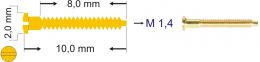 Bohrbrillenschraube, Schlitz, Gold