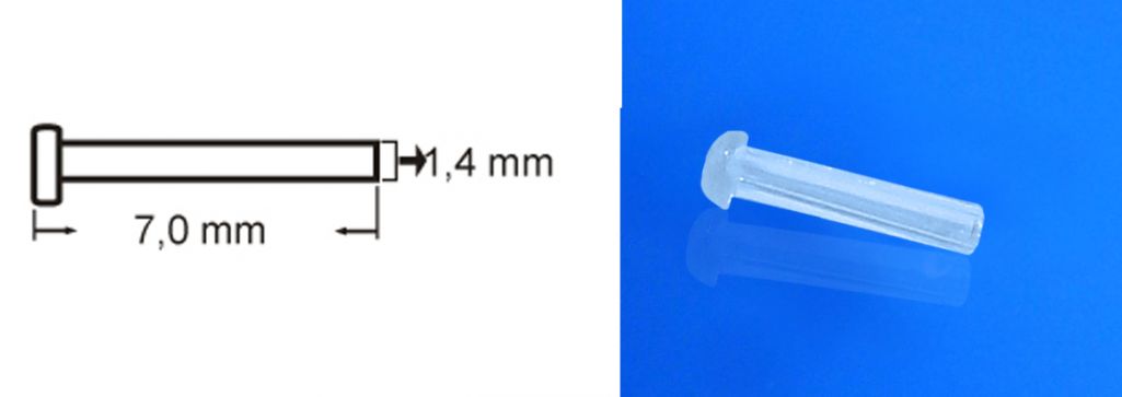 Einzelhülsen Kunststoff transparent