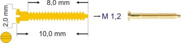 Bohrbrillenschraube, Schlitz, Gold